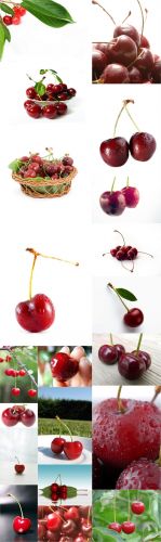 Photo Cliparts - Cherry