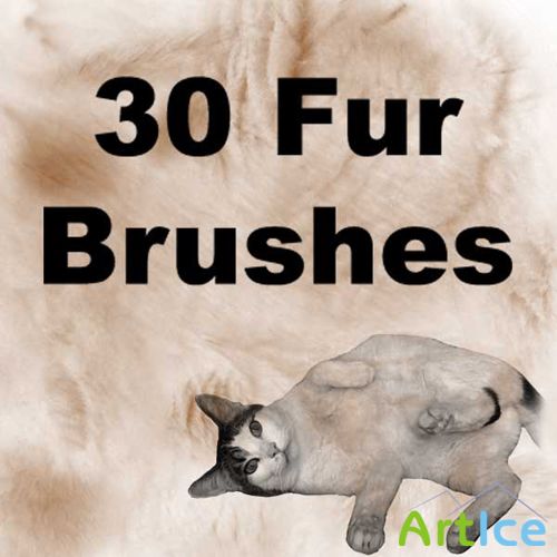 Fur Brushes