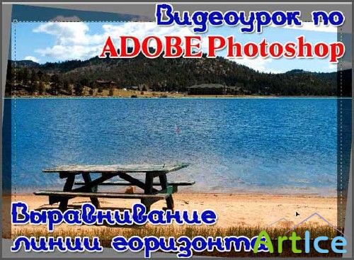   Photoshop -  