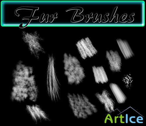 Fur brushes set