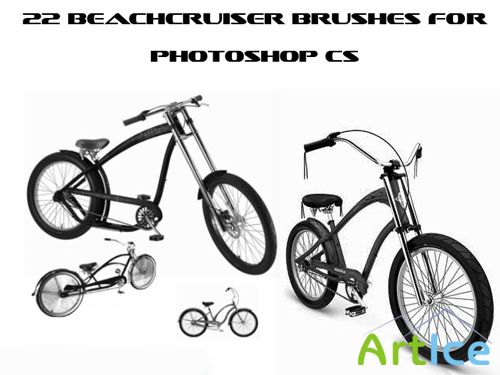 Beachcruiser Brushes