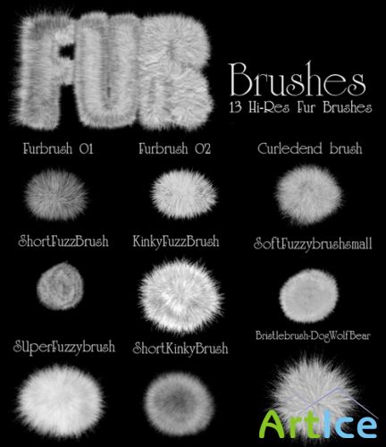 Fur Brushes