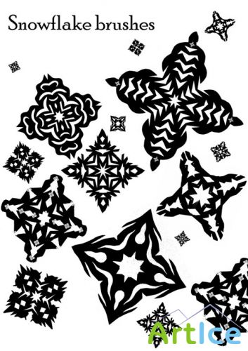 Snowflake Brushes Set