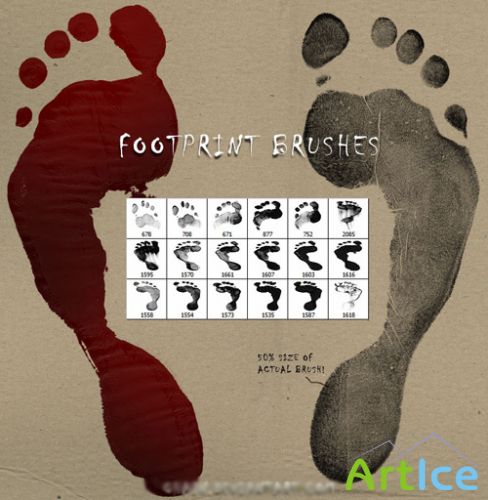 Brushes set - Footprint