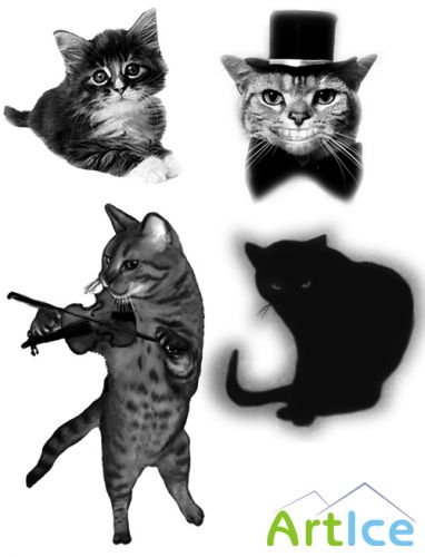 Cats Brushes for Photoshop