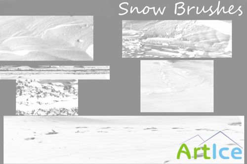 Brushes set - Snow