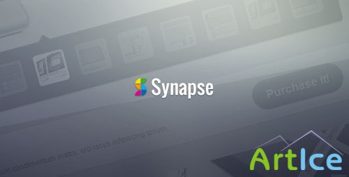 ThemeForest - Synapse - Corporate HTML Theme - Rip