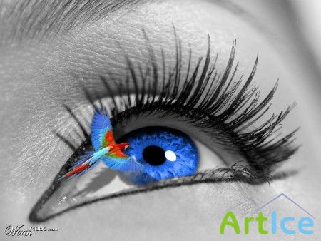 . Eyes Art 