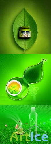 Green tea quality psd