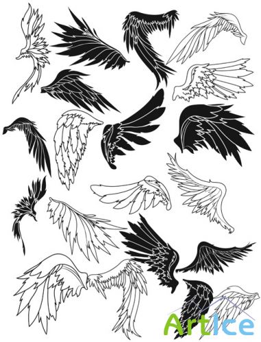 Wings Brushes Set 2