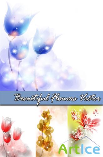 Beautiful Flowers Vector