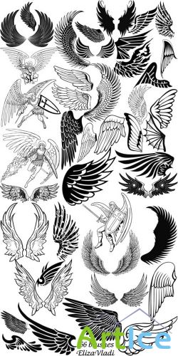 Wings Brushes Set