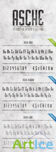 MediaLoot - Asche Desktop & Web Font