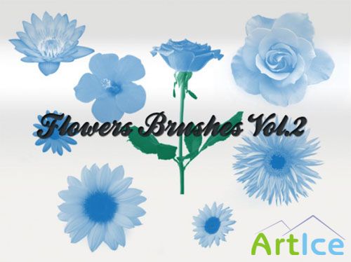 Flowers Brushes for Photoshop Vol 2