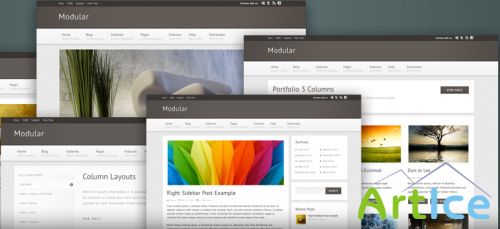 MySiteMyWay - Modular v2.0 for Wordpress 3.x