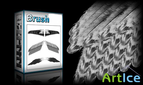 Wings Brushes Set for Photoshop