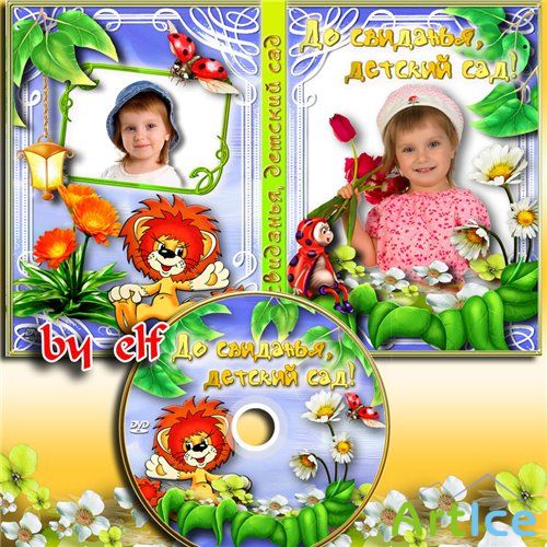 DVD    -  ,  