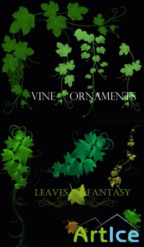 Vine Ornaments Brushes set for Photoshop