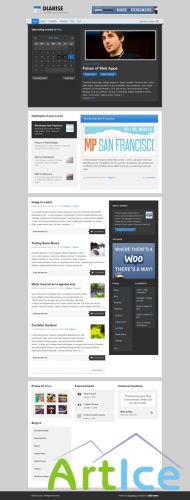 WooTheme - Diarise v1.5.6 For Wordpess