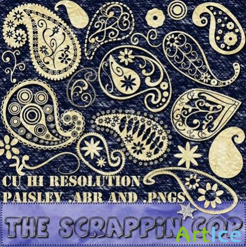 Brushes for Photoshop - Funky Paisley