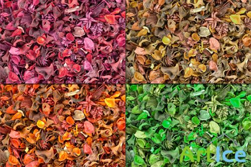 Potpourri Textures Set