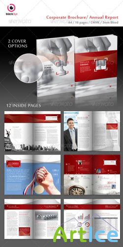 GraphicRiver - Executive Corporate Brochure / Annual Report