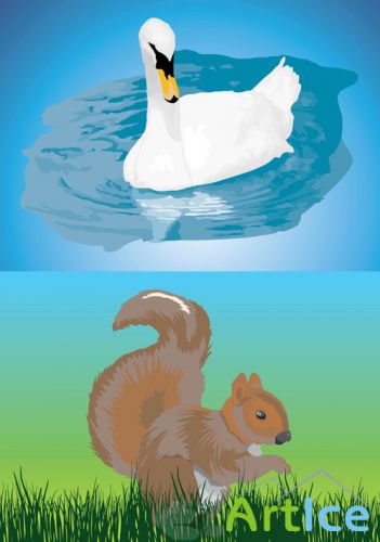 Chipmunk and Swan Vectors