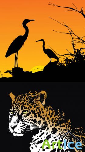 Jaguar and Herons Vectors