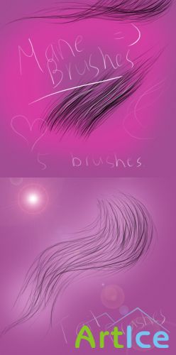 Tail and Mane Brushes Set