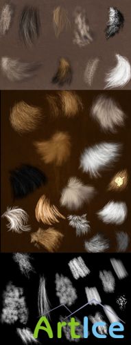 Fur Brushes Set