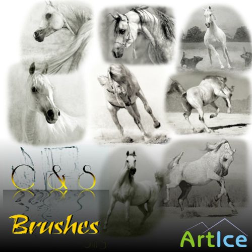 Running Horse Brushes Set for GIMP