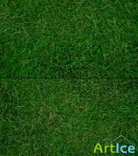 Grass Textures Set