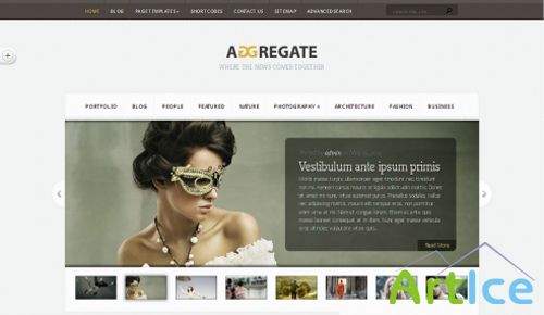 ElegantThemes - Aggregate theme version 2.3 Incl PSD (Updated)