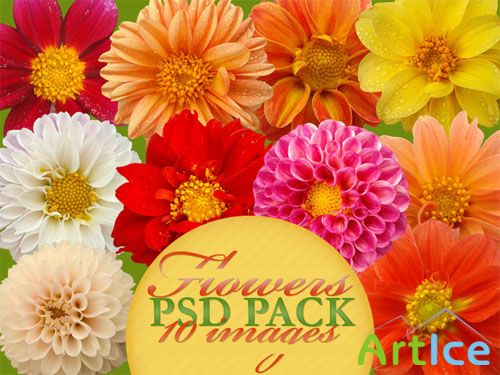 PSD Clipart - Flowers