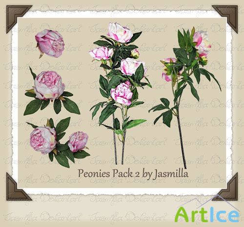 PSD Template - Peonies #2