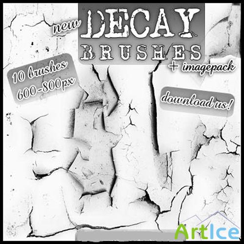 Decay Brushes Set