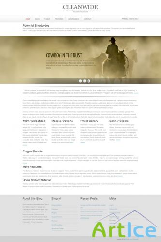 CleanWide v1.2 - Templatesold Personal/Creative WordPress Theme