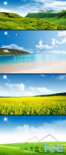 Flowering fields and summer beach in PSD