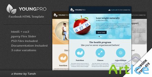 ThemeForest - Youngpro HTML Facebook Template - RIP