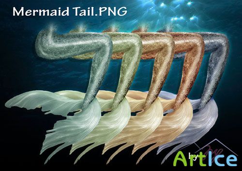 Mermaid Tail PNG Clipart