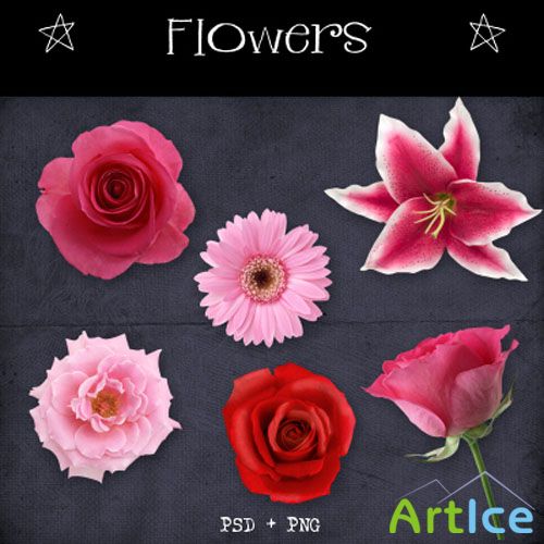 Flowers PSD Template