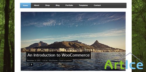 WooThemes - Function v1.0 for WordPress