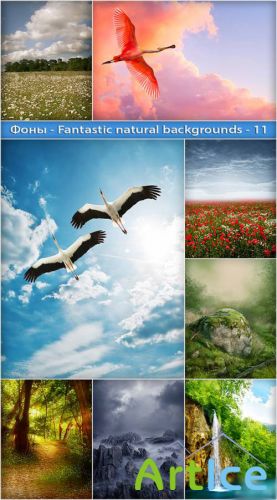 Fantastic Natural Backgrounds 11