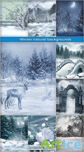 35 Winter Natural Backgrounds