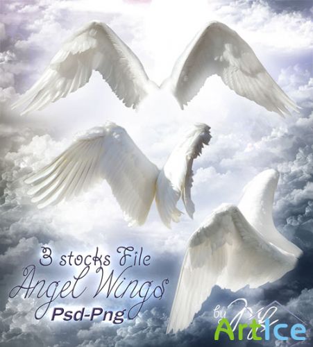 PSD Template - Wings Angel