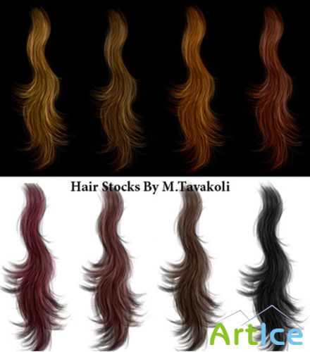 Hair Stocks PSD Template