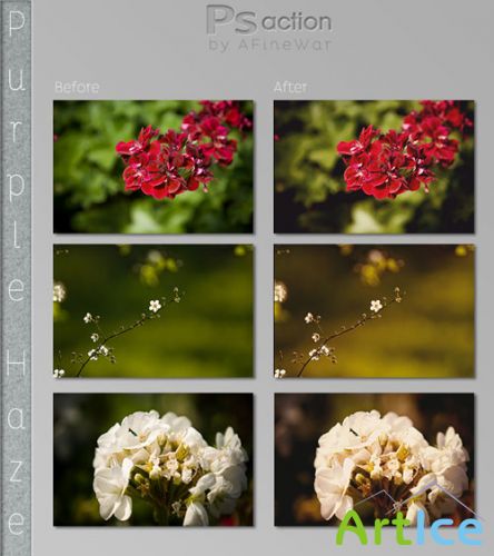 Purple Haze Photoshop Actions