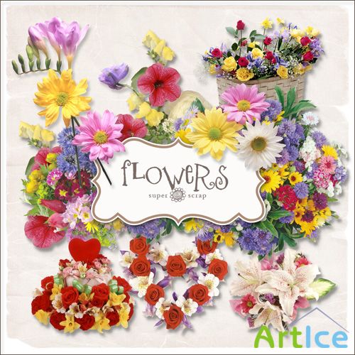 Flowers Set