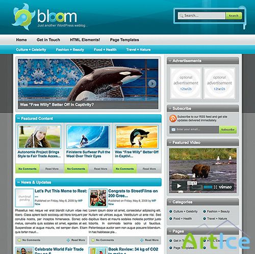 WPNow - Bloom v1.01 - WordPress Theme