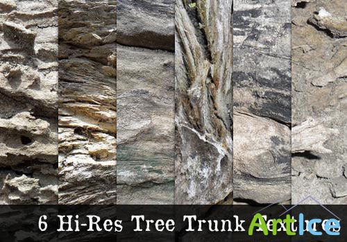 6 Hi-Res Tree Trunk Textures